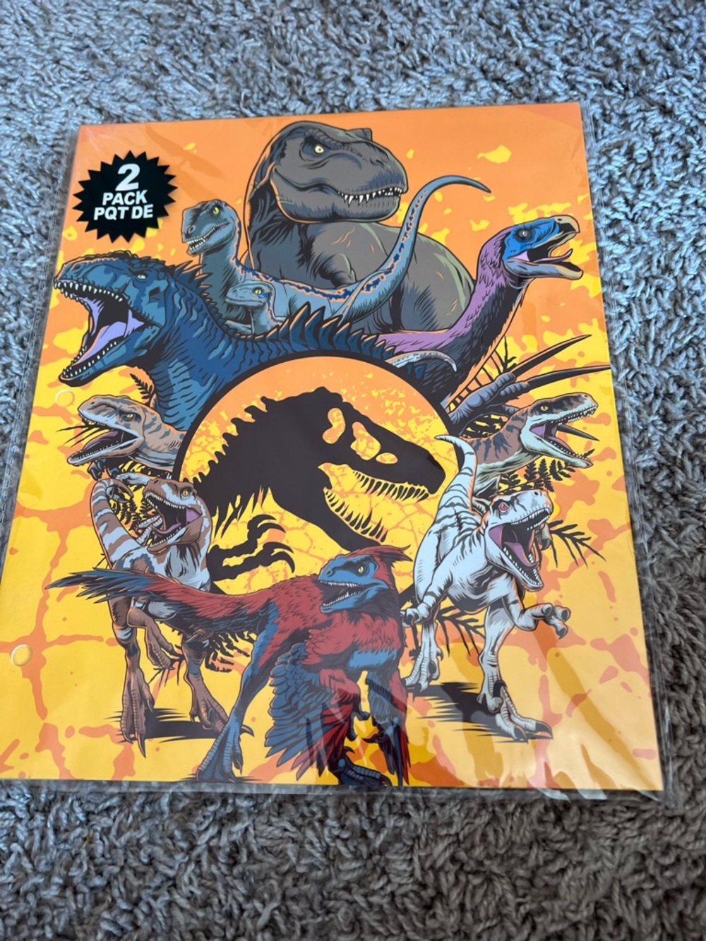 Dinosaur Graphic folders Orange Multicolor